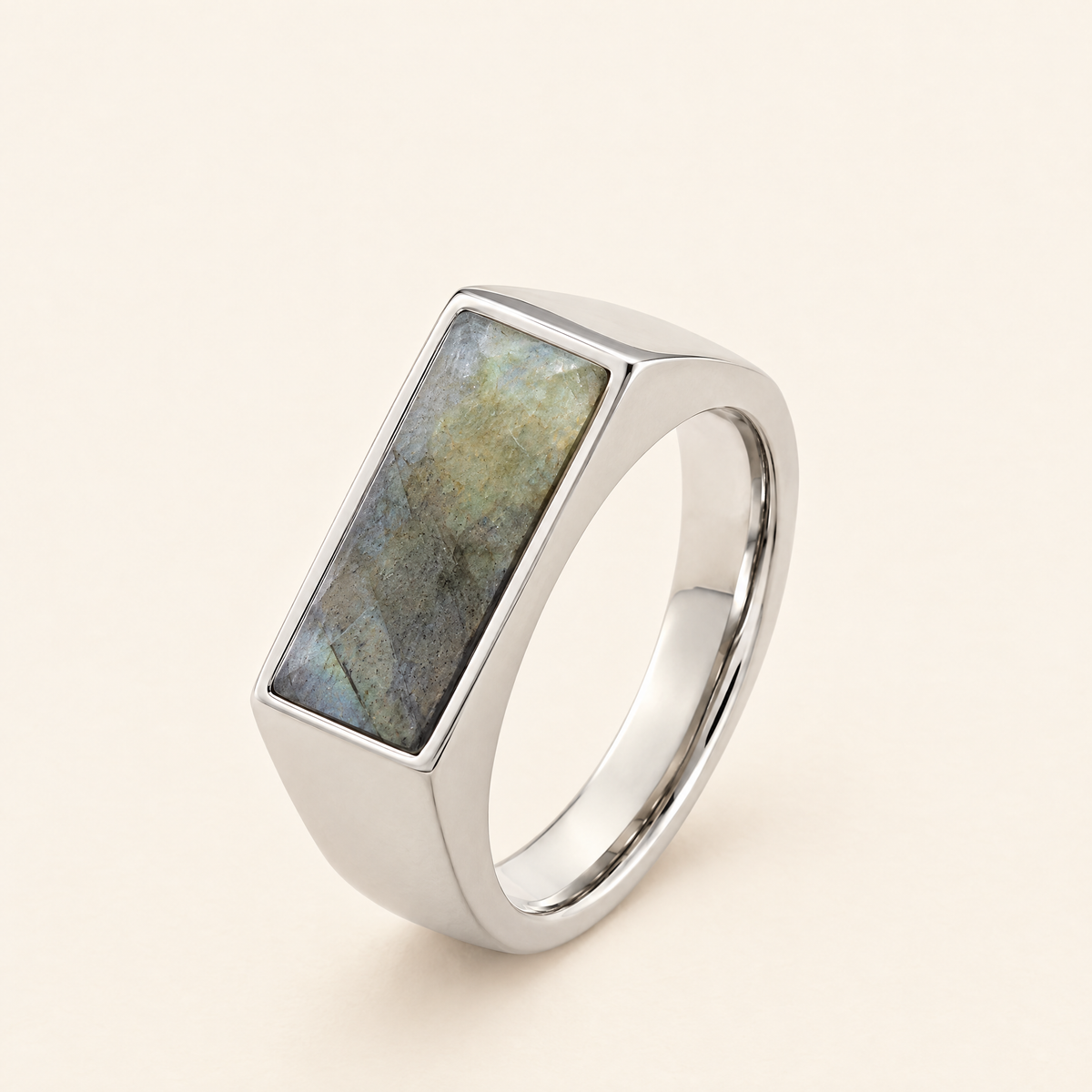 gildane-stone-signet-ring-silver-01-hero