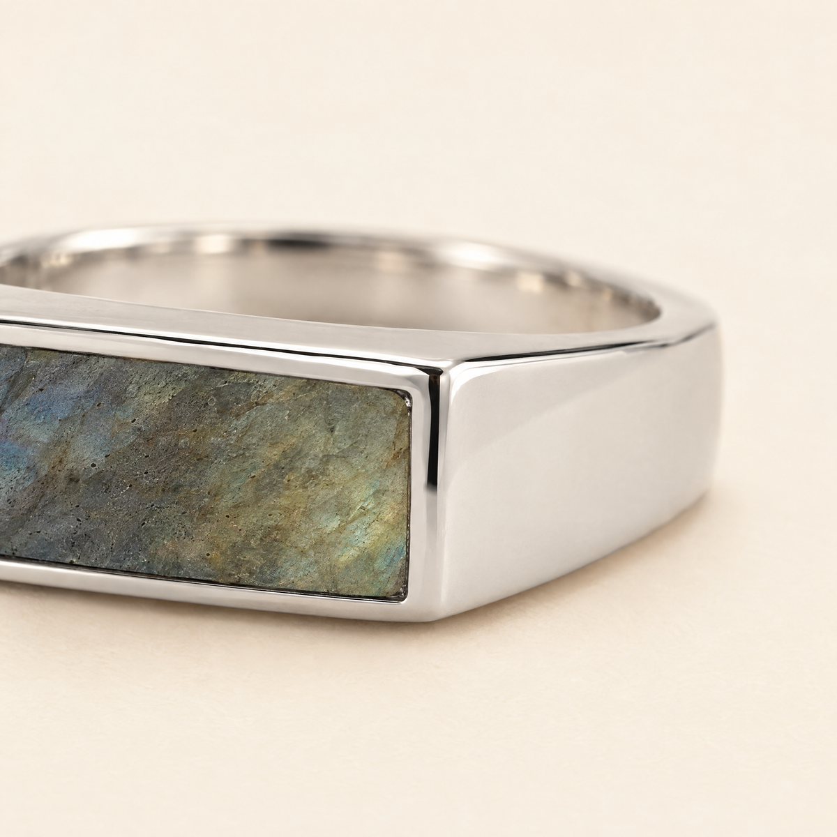 gildane-stone-signet-ring-silver-03-macro