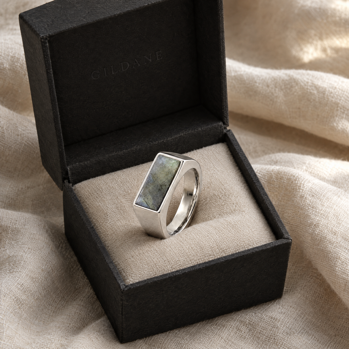 gildane-stone-signet-ring-silver-06-in-box